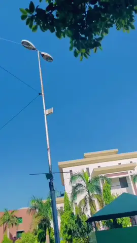 #fyp 