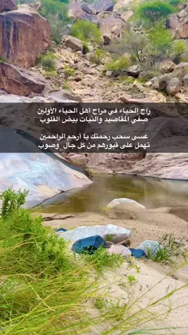 #شعر #مناظر_طبيعية #fyp #foryou #viral 