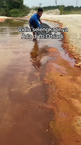 Pemburu emas | vidio mencari emas murni | mendulang emas $100,000 per day | La mina de oro más rica Mina de oro súper rica#treasure #gold #mininggold #Huntingforgoldtreasure #goldrefaning                         
