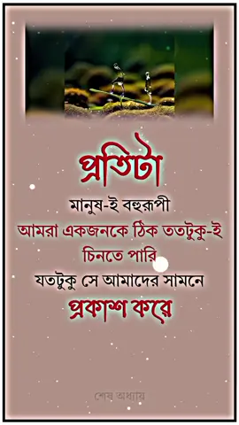 আমরা একজনকে ঠিক ততটুকু-ই চিনতে পারি #reelsfyp. #verysad #tiktok #terdingreels #foryou #islamicvideo #islamicstatus #islamicquotes #islamicvideostatus
