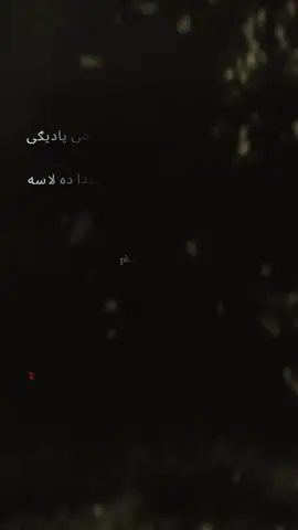 ربه ژوند می حرام شوی ستا ده یو بندا ده لاسه😢💔#viral #poshtoline #foryoupageofficiall #uddas223 #foryou 