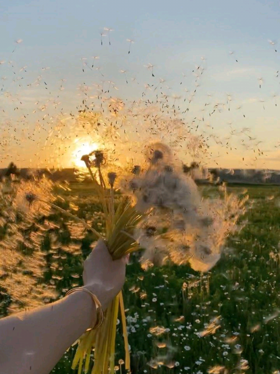 lemon tree - fool's garden (cover) #musicvideo #viral #classicguitar #foryoupage 