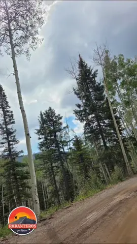 #rodanterospormexico #rodanterosdelabaja 