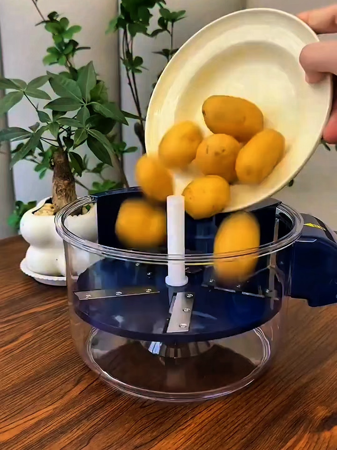 🍇✨ Peel grapes with ONE click! The Automatic Electric Grape Peeler is rechargeable, hands-free & fun to use. 🌍 Worldwide shipping | 🚚 Free shipping | 🔐 100% secure checkout 👉 Tap the link in bio & get yours today! #FruitPeeler #KitchenGadget #CookingHack