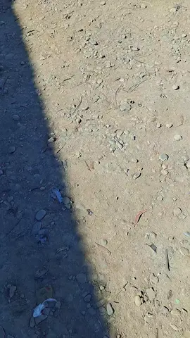 @Kevin Caro #mavar #volvofh  Carrocerías Mavar, no los mejores, sí los diferentes 