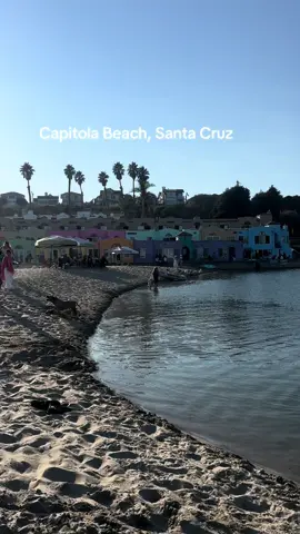 📌 Capitola Beach, Capitola, CA. Capitola Beach, located in Capitola, California, is a beautiful and popular destination known for its colorful beach bungalows, lively village, and a wide range of activities.  💫 Perfect for swimming, surfing, stand-up paddleboarding, and boogie boarding. 🚶‍♀️ Take a stroll on the historic wharf for stunning views of Monterey Bay. 🌼 Explore the charming village with its unique shops, art galleries, and a variety of restaurants and cafes. 🚗 street parking in Capitola Village is typically limited to 2-3 hours. 🐕 Dog friendly. #capitolabeach #santacruz 