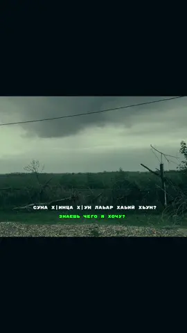 бакъ дерриг аьлча,дуккха х|ума лаьар)) #рек #shishani #рекомендации #fyp #Хабаев_Исмаил