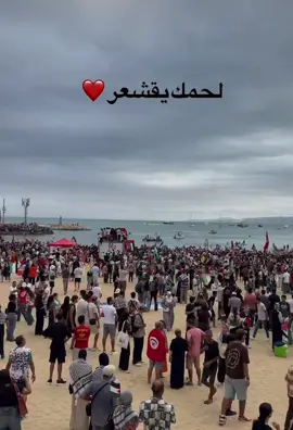 #قافلةالصمود🇹🇳🇵🇸🇹🇳 #قافلةالصمودلكسرالحصار #tunisia🇹🇳 #palastine🇵🇸 #ghaza #fyppppppppppppppppppppppp #fypage #fypシ゚ #🇹🇳 #🇵🇸 