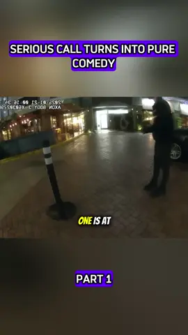 #fyp #cops #bodycam #police 