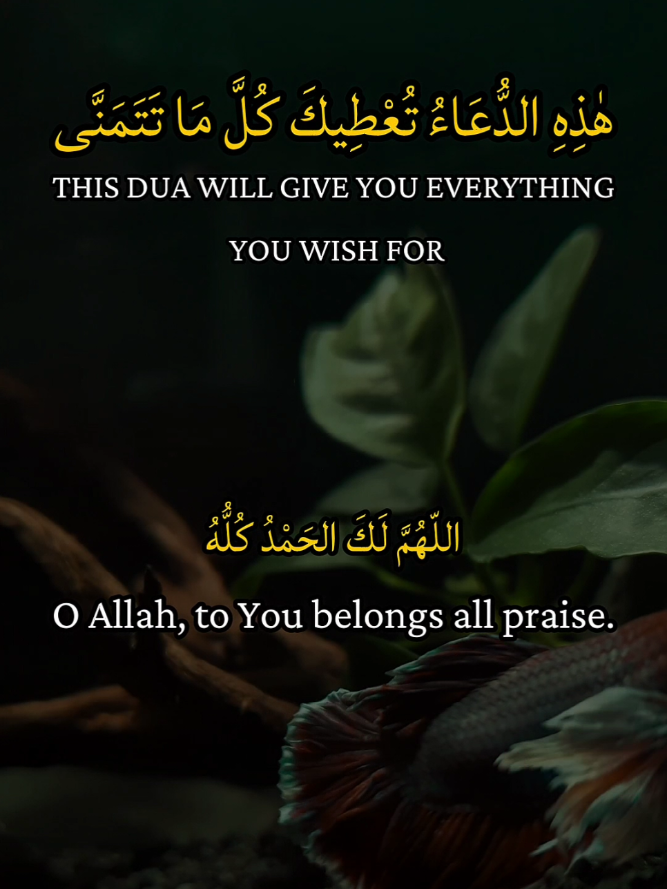 💫 Recite it with your heart and share it with others. 🔑 This Dua brings you closer to Allah and opens the doors of goodness. 💫 اجهر به بقلبك وشاركه مع الآخرين. 🔑 هذا الدعاء يقربك إلى الله ويفتح أبواب الخير. #quranserenity #TrustInAllah #UKMuslims #Blessings #Prayer 