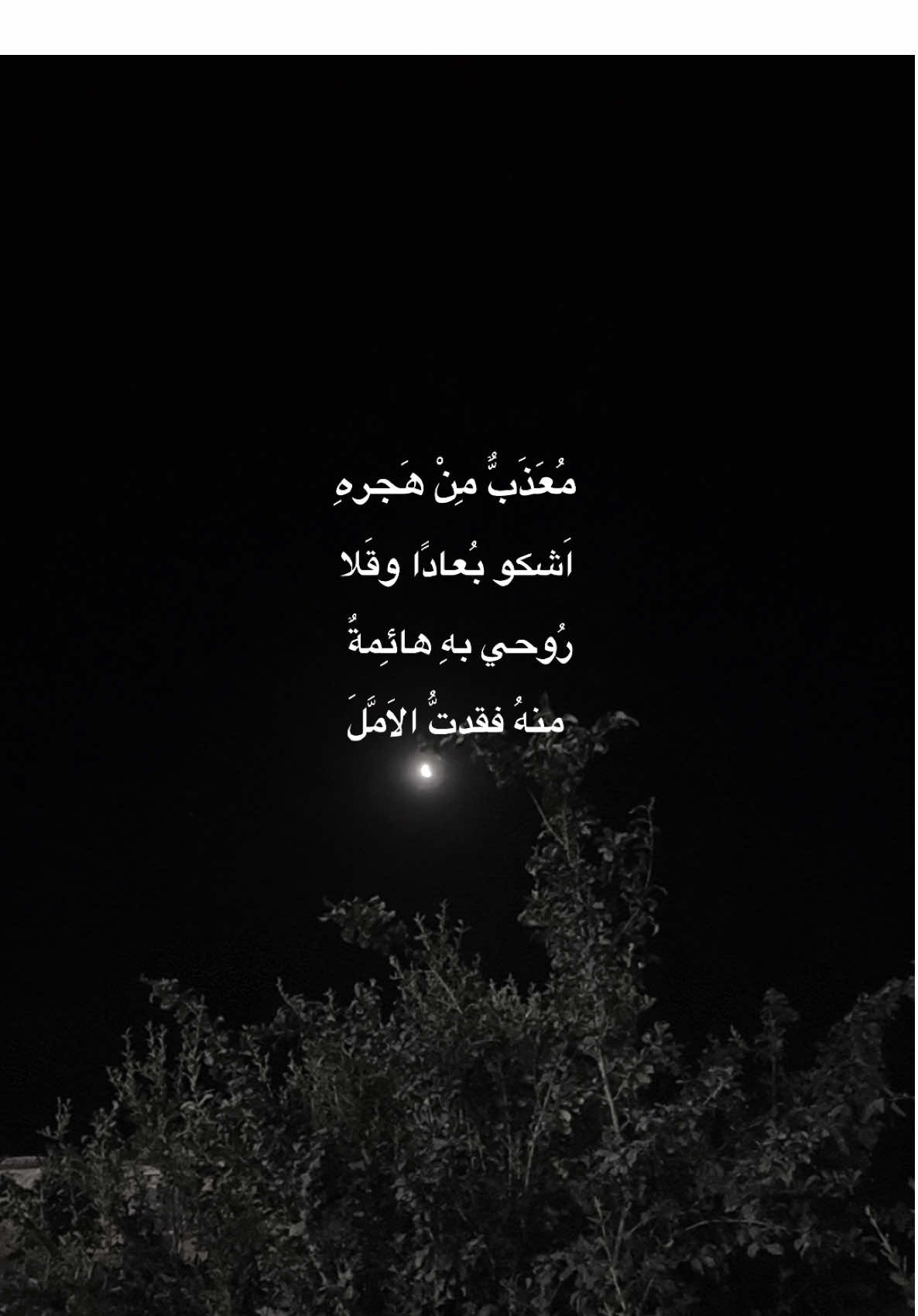 مُعذب من هجره ؟ #قوالب_تيك_توك_جديده #قالب_تيك_توك_جديد #قالب_تيك_توك #قوالب_تيك_توك 