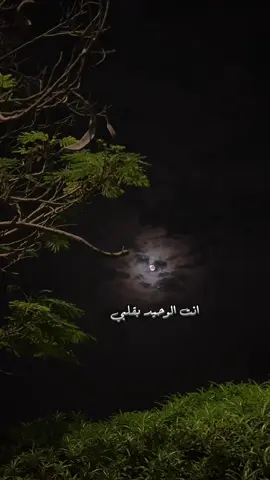 #عبدالله_ال_فروان #بدر_العزي #شيلات #عشق_جديد#fyp 