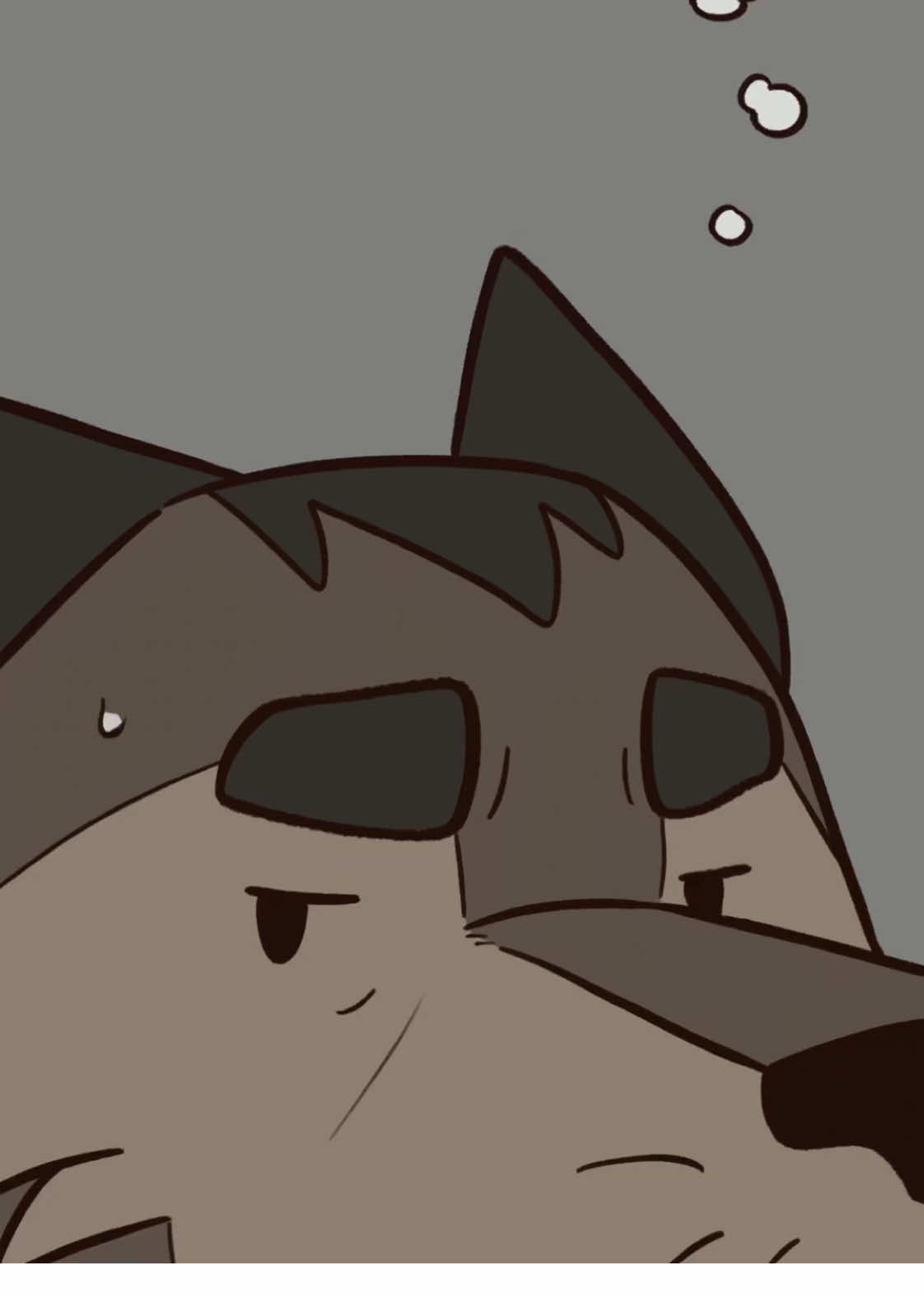 Gryffs not good at hiding his faces #originalcomic #talesfromgraycove #animatic #illustration #digitalartist 