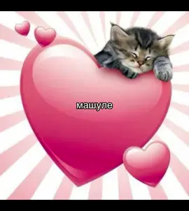 #машуля #маша #любимка #❤️ #люблюмашу @мпиоплек? 