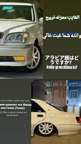 عشاق ال تاج #f #fyp 