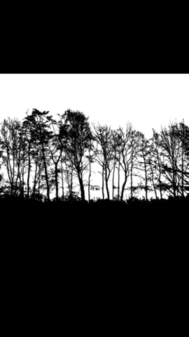 ##terror #analoghorror #analogterror #historiasdeterror 