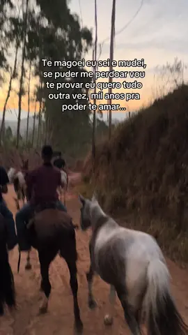 Falei foi música boa #sertanejo #country #cavalo #loubet 