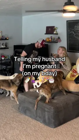 Telling Collin we’re gonna have a baby 😭🤍🤰🏼🐣🍼 except the dogs have to be the center of attention  #pregnancyannouncement #pregnant 