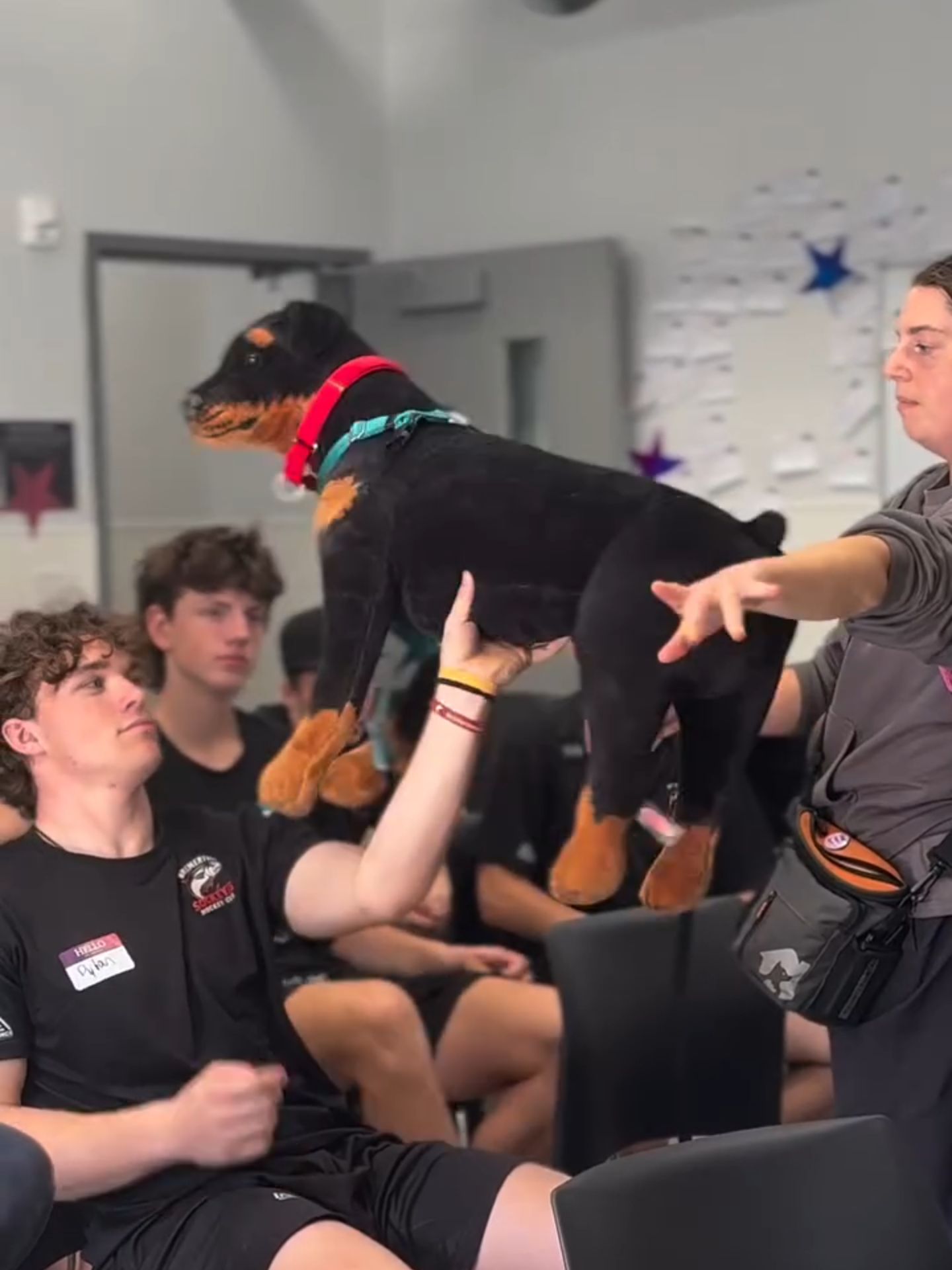 🐶🤝🏒 Please help us welcome the Bremerton Sockeyes Hockey League as our newest volunteer group here at KHS! Their preseason game is this Friday in Bremerton, check out their page for more information on this awesome sports team not only taking on the ice, but helping pups in our community 🐾 #kitsaphumanesociety #kitsaphumane #kitsap #humanesociety #bremertonsockeyes #khs #animalshelter #rescueme #rescuedog #rescuecat #adoptadog #adoptacat #adoptacritter #adoptakitten #adoptapuppy #adoptdontshop #animalrescue #shelterdogs #shelterpups #shelteranimals #kitsaprescue #kitsapwa #kitsapcounty #washingtonstate #washington #hockey