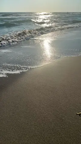 #fyp Site on the sea, I love you❤