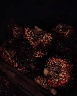 alhamdulillah 