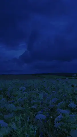 #bluevibes #peacefulvibes #aesthetic #nightvibes #natureatnight #bluesky 