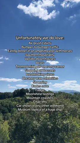 What’s your favorite thing to do in the Smokies?  #pigeonforgetn #thingstodo #fyp #trend #smokymountains 