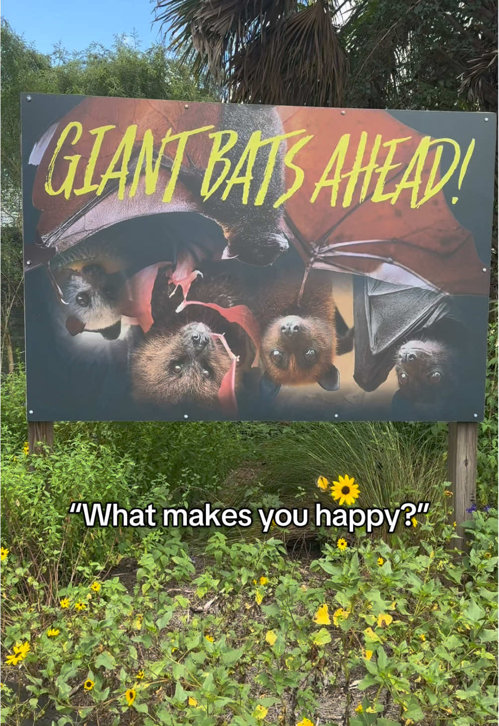 More 2025 VIP Private Tour dates have been added! 🦇 Our batty residents are waiting for you to visit. Plus, stay tuned for our upcoming raffle for a chance to win a VIP Private Tour experience (continental US residents only, sorry international bat buddies)! For more info or to schedule your tour, visit the “Schedule a VIP Private Tour” 🔗 in our bi0! 🦇