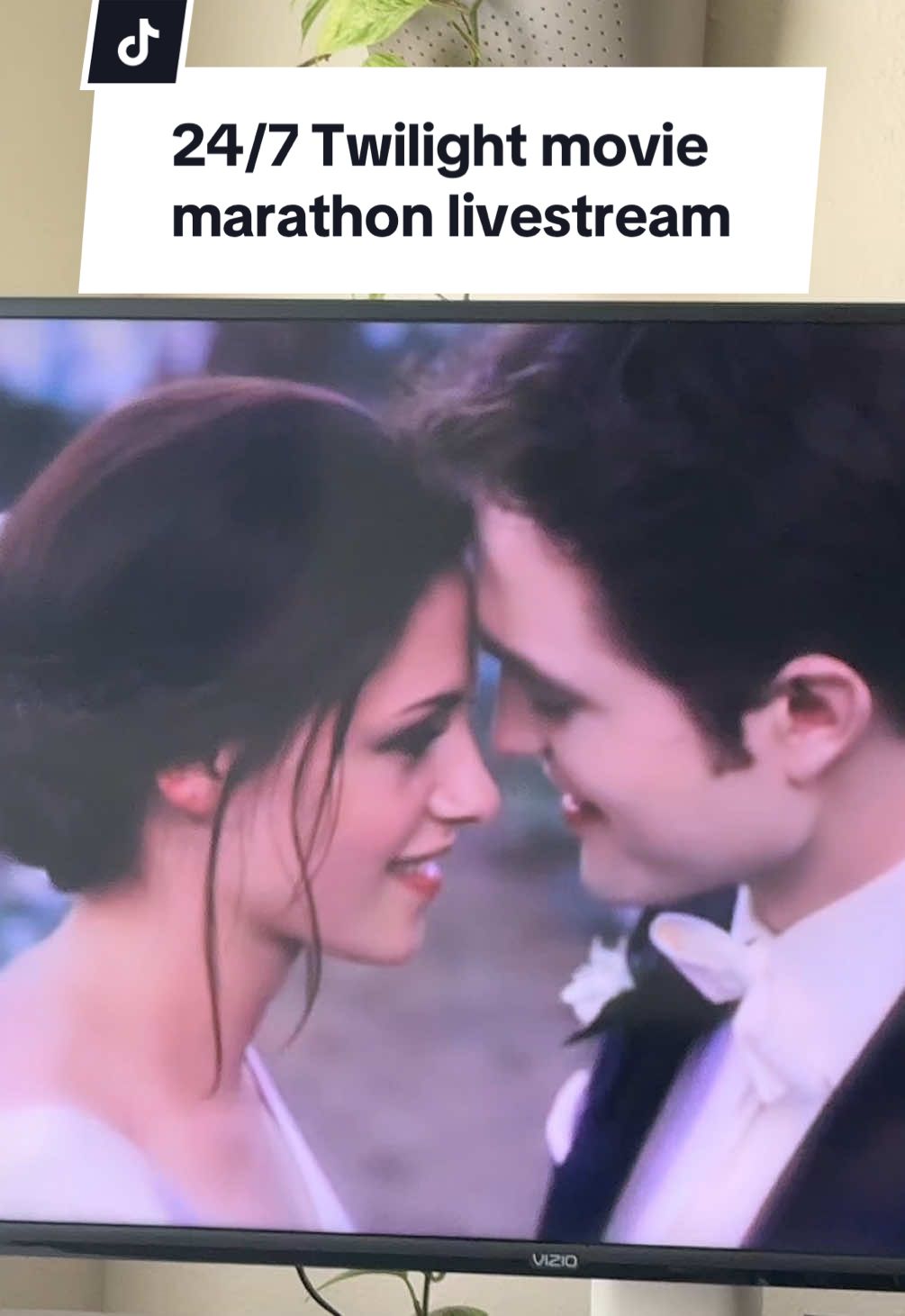 Who up watching the 24/7 twilight marathon live stream 🧛🐺 #twilight 