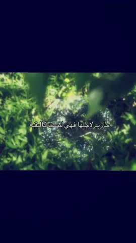 #كلام_من_القلب #صعدوو_ءڪڪسبلور_للايڪ_متابعه #هاشتاقات_تيك_توك_العرب 