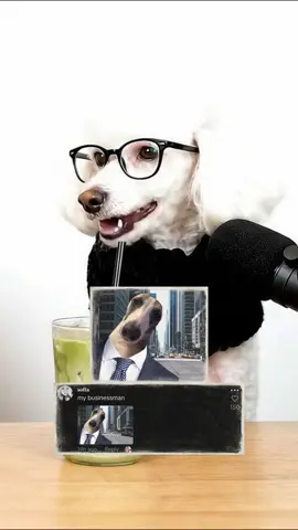 Smash or pass gone wrong😭 #dogtok #dogpodcast #doghumor #dogsoftiktok #barkafterdark 