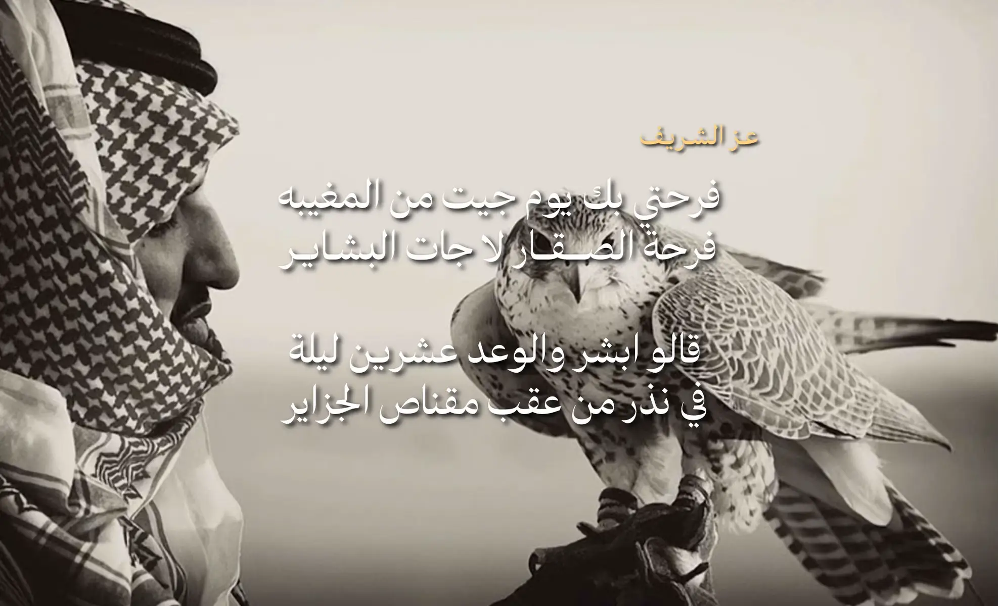 فرحتي بك يوم جيت من المغيبه  ‏فرحة الصقار لا جت البشاير  ‏قالوا ابشر و الوعد عشرين ليلة  ‏في نذر من عقب مقناص الجزاير ‏كلم الطاروح وقال ابشر بفرخٍ  ‏اسود قد له ثلاث شهور طاير ‏فرخ شاهين لو تحدد مقاسه ‏ستطعش ياللي تعدون الدواير  ‏كانه مطعونٍ على حد الترايب  ‏بارز الثنداه ولا الظهر غاير #fypage #fyppppppppppppppppppppppp #اكسبلورexplore #اكسبلوررررررر #fyp 