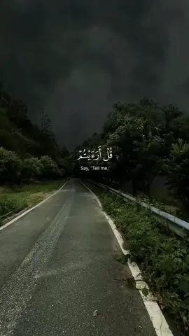 Surah Al-Qasas | Yaseer Al Doosari  #allah #zeealquran #القران_الكريم  ‎‏#quran #ياسر_الدوسري 