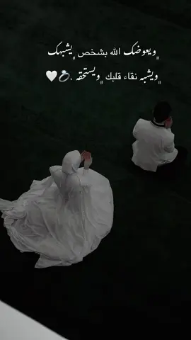 قلبي بل حقول ملى 🫀🫂#تصويري #تصميم_فيديوهات🎶🎤🎬 #دينية_اسلاميه_ادعيه_اذكار_قران_كريم 