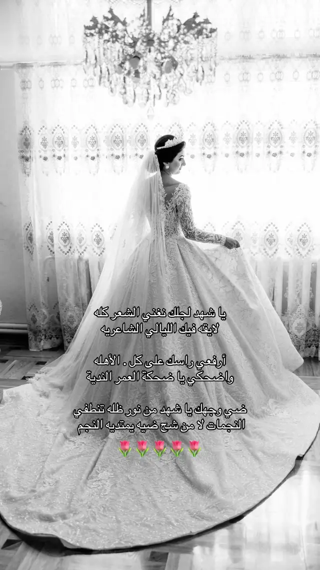 #زفات_عرايس #زفات #زفاف #عروس #عروسه 