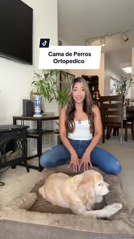 Súper suave y bastante cómoda! Mi penny Tendrá mucho espacio para estirarse ☺️ #made4pets #dogbeds   #tiktokshop  #tiktokshopcreatorpicks #tiktokshoprestock   