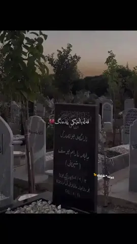 #ئەکتیڤبن🥀🖤ـہہـ٨ــہ 