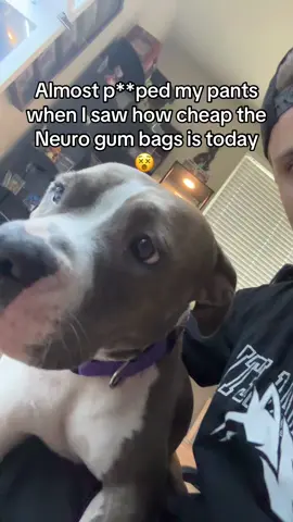 #neurogum 