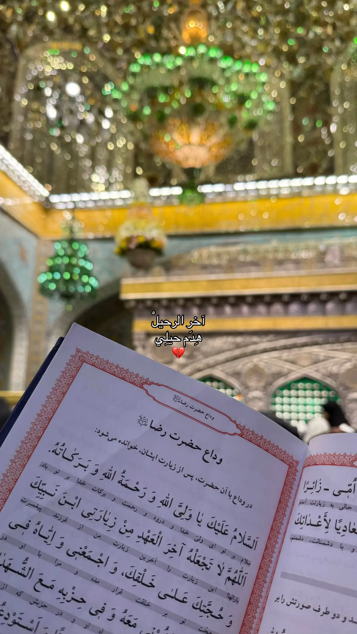 #ايران #iran #مشهد #علي_بن_موسى_الرضا #الرضا 