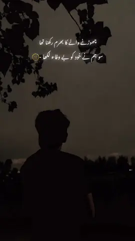 رپوسٹ -🤍🪐#foryoupage #poetry #lines #urdupoetry 