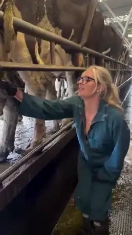 Bigfoot and yeti core#bigfoot #yeti #funny_video 