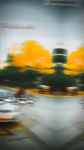 #جان وطن جانان وطن  .#foru #viral #afghanistan🇦🇫 #peace  .. . .. @DEER EYES 👀 🦌 