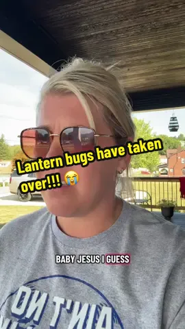 Do you have this problem in your area?! These bugs are literally covering the entire exterior of my home 😭  I’m still recovering from our Christmas tree being infested with bugs and now this?!  #lanternbugs #invasivespecies #areyouserious #sendhelpplease #widowlife 