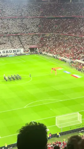 Életem egyik legmeghatóbb pillanata🥹🇭🇺♥️ Magyarország-Portugália🇭🇺-🇵🇹♥️ #magyarportugal #szepvoltfiuk #legyennekedbe 