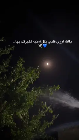 🤎..#يارب #يارب_العالمين🙏 #الحمدلله_دائماً_وابداً #fyp #viral #foryoupage 