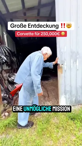 Die Reaktion des Großvaters ist unglaublich 😳 #auto #tipp #automobile #mechaniker #autotippde 
