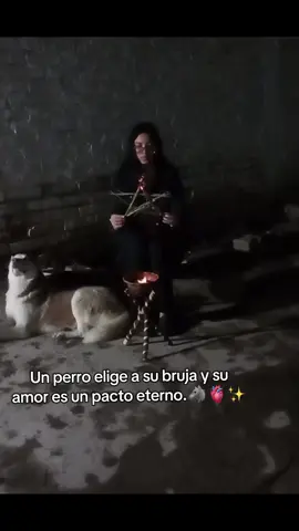 El lazo entre un perro y su bruja no se rompe jamás.🐺✨  Son guardianes, compañeros y cómplices en cada camino. Su amor es un pacto eterno que trasciende lo terrenal. #Bruja #perrostiktok  #fyppppppppppppppppppppppp #pactosagrado #guardian 