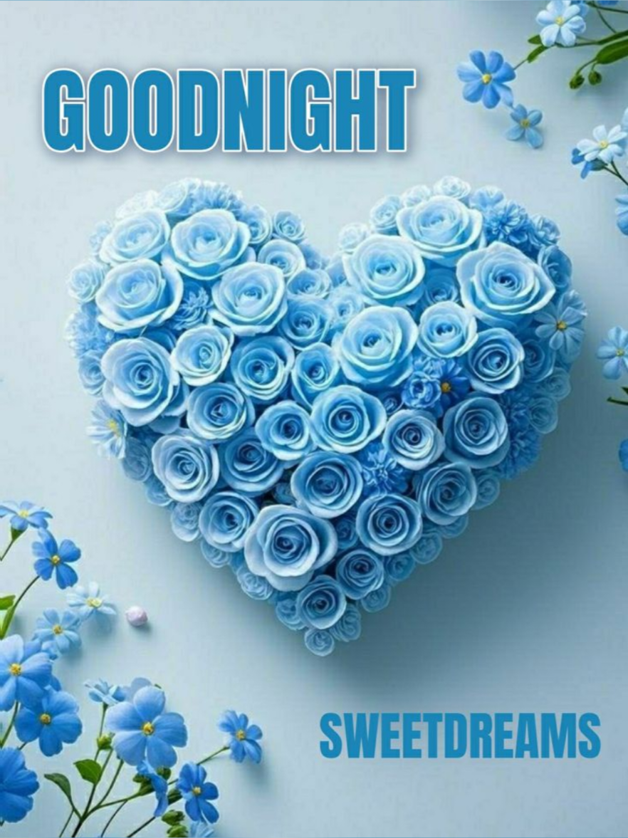 #GoodNight💕💕💕 #4you #Foryou💕💕💕 #creatorsearchinsights💕💕💕 
