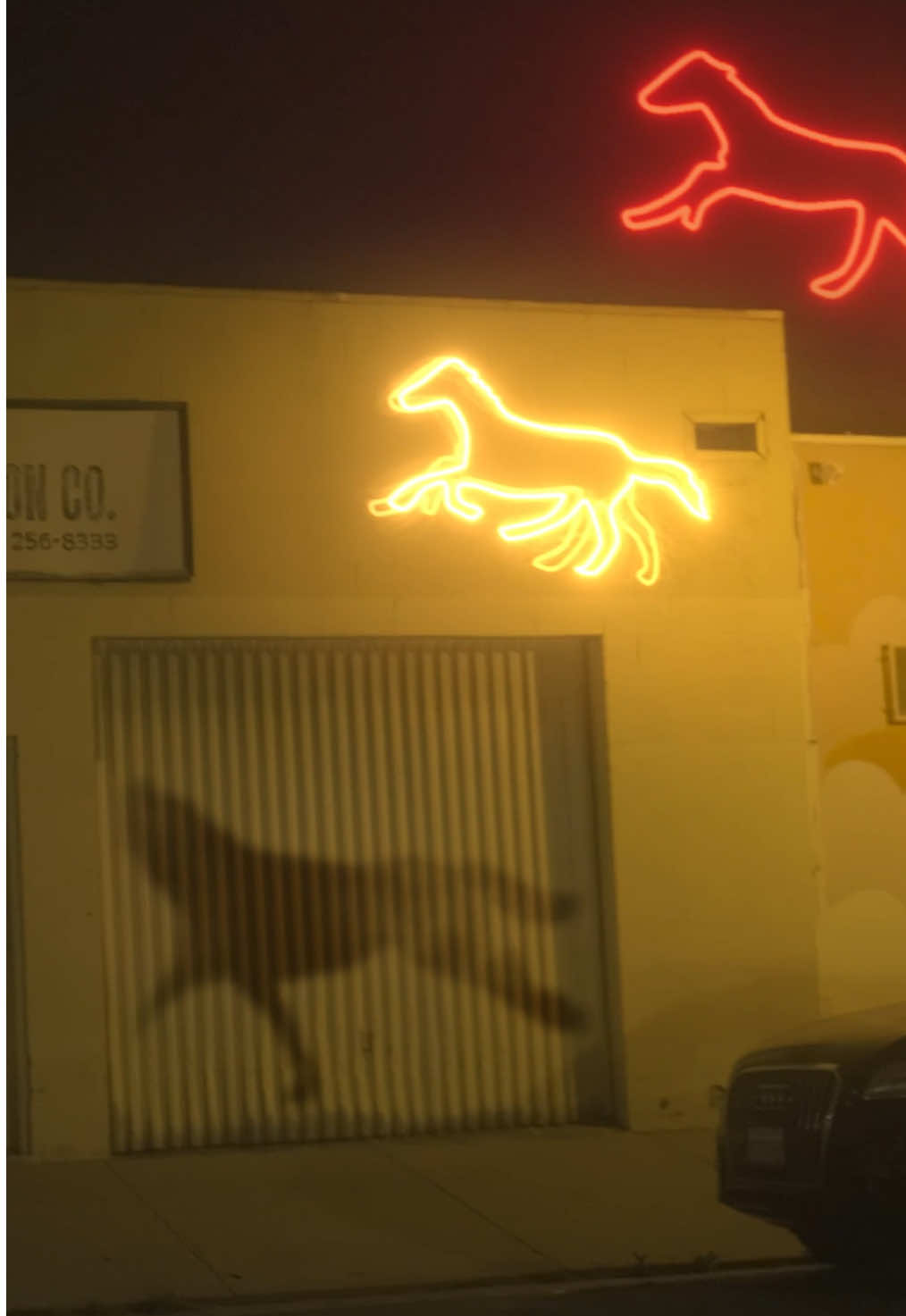 horses run in the night  #art #animation #horse #losangeles #deftones 