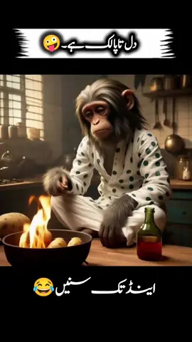 please Tiktok team don't under review my videos please 🙏@ᒪᗩᎥᗷᗩᗯᖇᎥ丅ᗴᔕ🥰 @zofiaa0314 @TiktokPakistanOfficial #foryou #viral #fyp #foryoupage❤️❤️ 